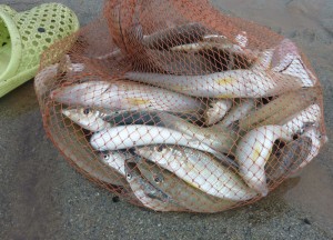 Fishing Net, Koh Lanta Low Season in Southern Thailand, Southeast Asia