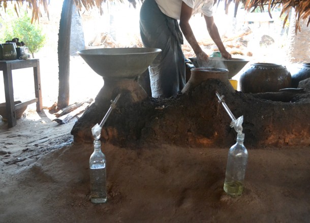 Cooling Toddy in Myanmar, Top Foodie Experiences in Asia