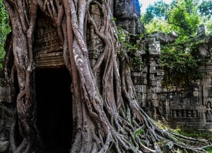 Entrance to Ta Prom, Introduction to Angkor Wat Two Day Tours