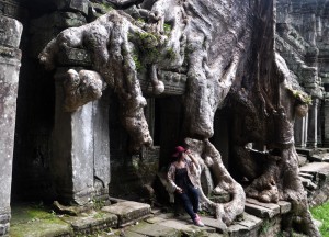 Tree Roots at Preah Khan, Introduction to Angkor Wat Two Day Tours