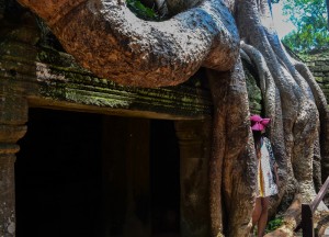 Tree Roots over Door, Introduction to Angkor Wat Two Day Tours