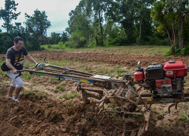 Ploughing Rice Fields Ploughing Rice Fields, Isaan Tours and Phanom Rung Thailand