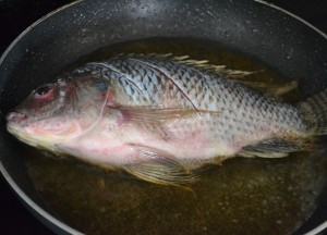 Frying Pla Nin Fish, Thai fried fish, Thailand