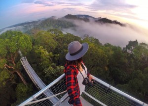 Ulu Temburong Brunei, Best Southeast Asia Travel Blog