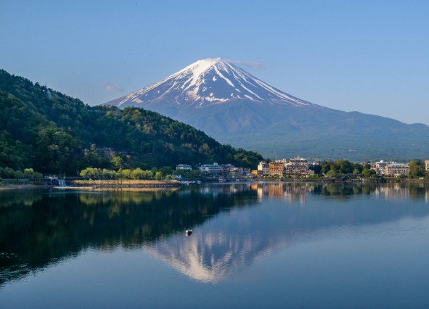 Morning, Travel to Mount Fuji Shibazakura Flower Festival