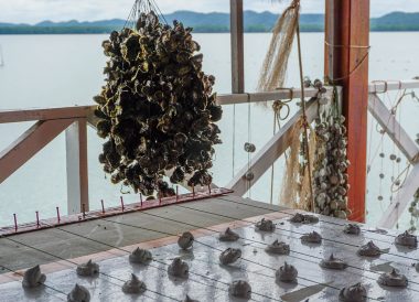 Oyster Houses at Kung Krabaen Bay, Travel in Eastern Thailand