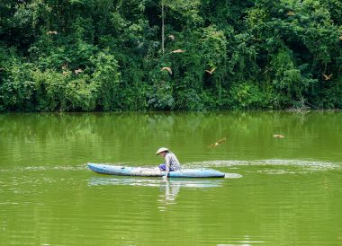 Feeding Red Hawks at Restaurant, Travel in Eastern Thailand