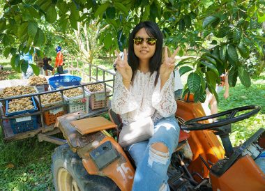 Travel Blogger Fanfan Wilson in Rayong, Travel in Eastern Thailand