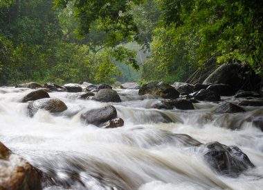 Yala One Night Stay with Locals in Thailand (2)