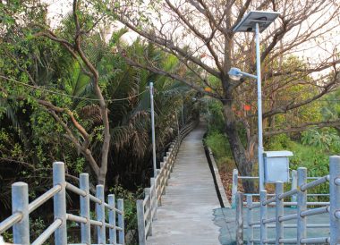Cycling path bang krachao Things to do in Bangkok Thailand