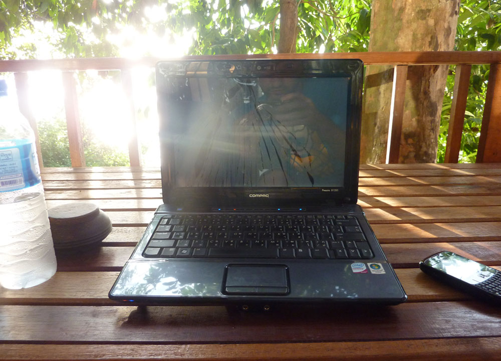 Monkeys Smashing Laptop Screen