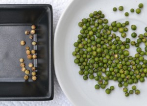 Green Pepper Seeds, Difference between black and white pepper, Spice routes in Asia.
