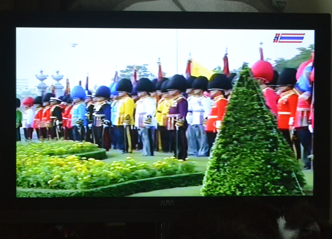 Fathers Day Thailand - Kings Birthday at Bangkok Royal Plaza - Multi-Coloured Royal Guard