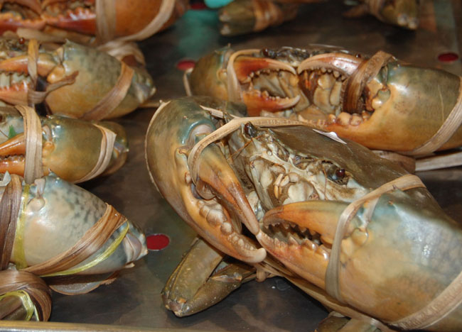 Fresh Crabs, Bangkok Chinatown, Eating Chinese Food, Southeast Asia