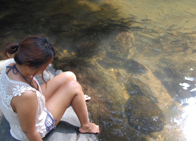 Fish Pala U Waterfall, Hua Hin Hills Tour, Thailand, Southeast Asia