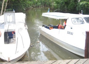 Boats in Mangroves Sandakan Islands, Borneo Eco-Tourism Sabah Malaysia