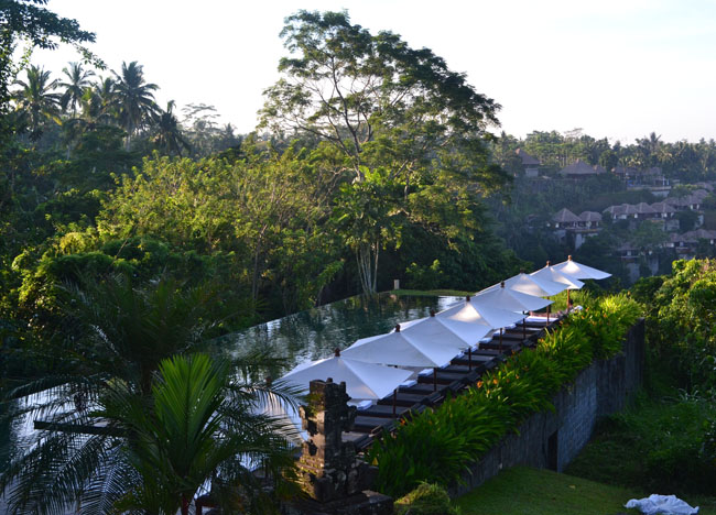Swimming Pool View, Wedding at Alila Ubud, Married in Bali Indonesia