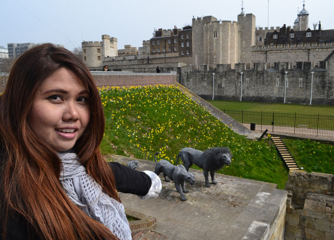 Lions at Tower of London, London Stopover, Cheap and Free Attractions