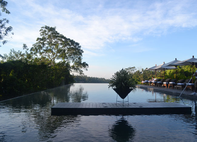 Infinity Pool, Wedding at Alila Ubud Resort, Married in Bali Indonesia