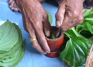 Mixing Betel, What is Betel Nut Chewing in Thailand, Southeast Asia