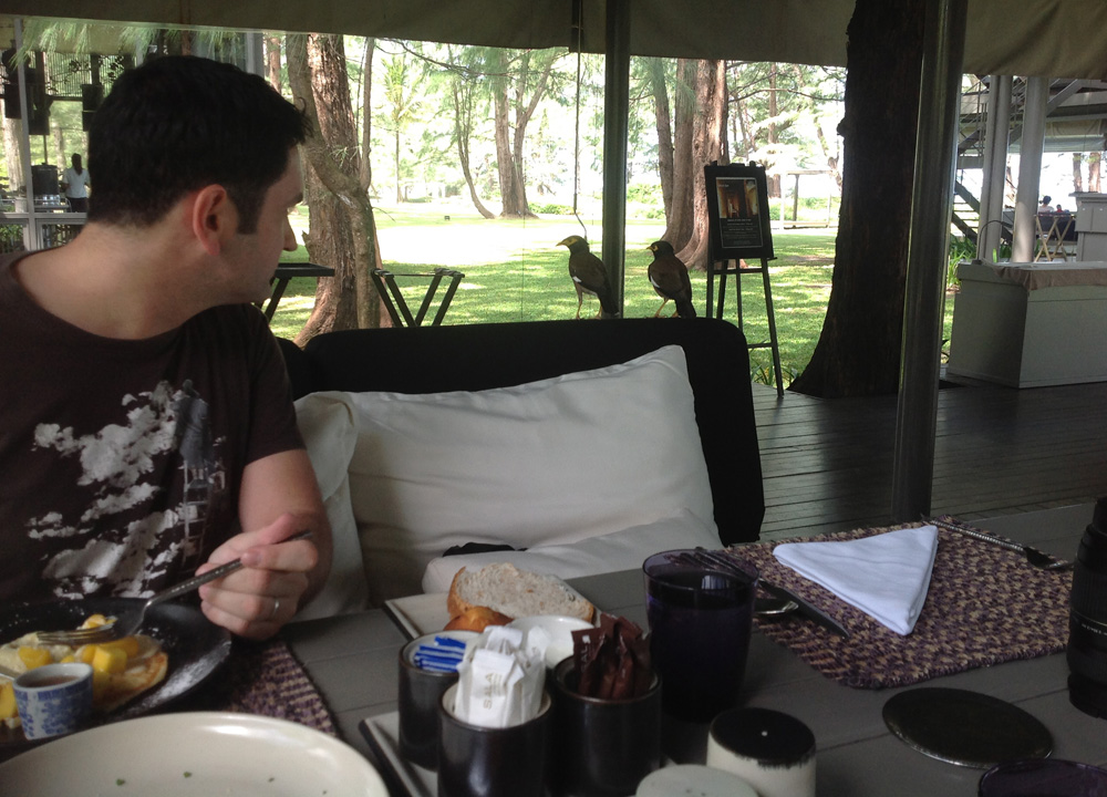 Breakfast with Birds, Sala Phuket Resort Review, Phuket Pool Villas