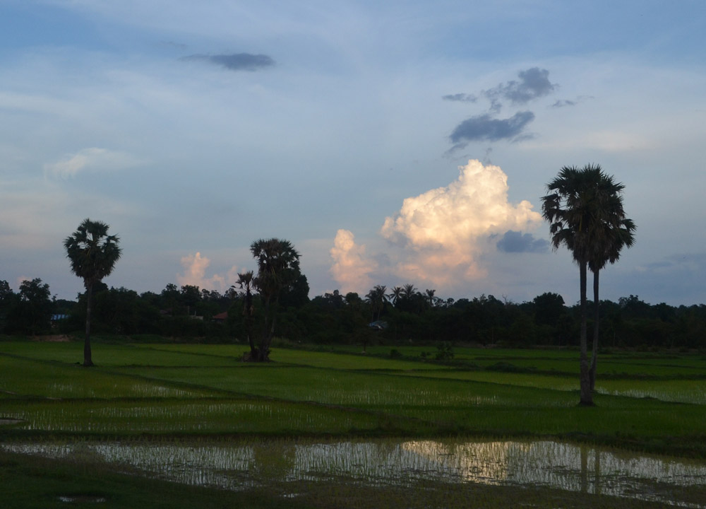Rice Fields Laos, Savannakhet to Pakse by Bus, Travel in Southern Laos