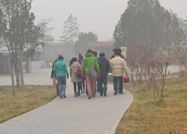 Our Tour Group Size, Terracotta Warriors Tour in Xian China