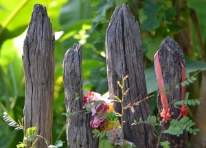 Garden Boundaries, 5 Fascinating Fun Facts About Thailand