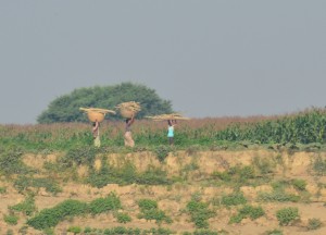 Carrying Rice on Head, Bagan to Mandalay by Boat, Irrawaddy River Cruise