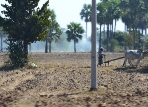 Arid Countryside in Myanmar, Mount Popa Tour from Bagan, Myanmar