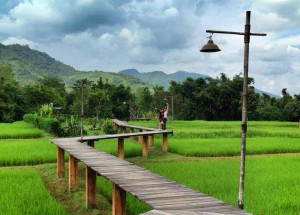 Zigzagging Rice Fields Zigzagging Rice Fields, Top 10 Chiang Rai Attractions, Northern Thailand