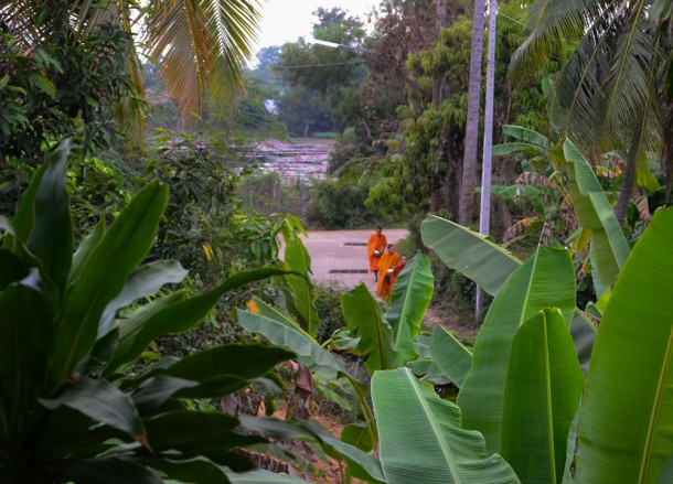 Balcony Views, Living in Rural Thailand, Isaan North East Thailand