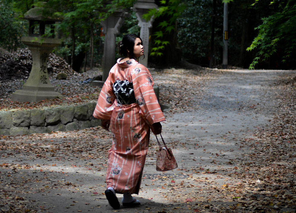 Fanfan Wilson Kyoto, 2 Week JR Pass, Japan Train Travel