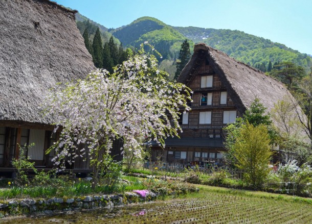 Gassho Village, Shirakawago Historic Village, JR Pass