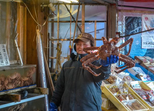 Hakodate Fish Market, JR Japan Rail Pass Travel in Winter February Snow