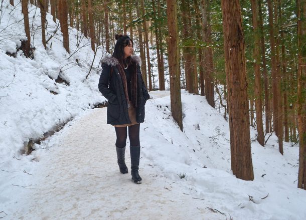 Snow Forests, JR Japan Rail Pass Travel in Winter February Snow
