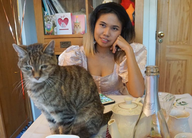 Gatecrashing Cat on Valentines Day Celebrations at Home Night in the Bedroom