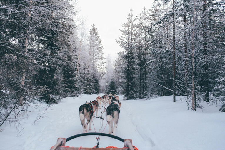 A Journey Through Finland and Denmark