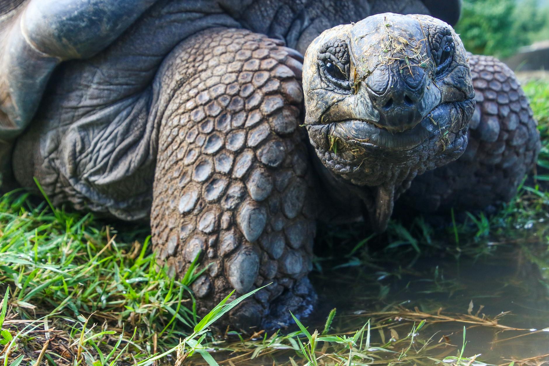 Must-Know Tips Before Booking a Luxury Galápagos Cruise 