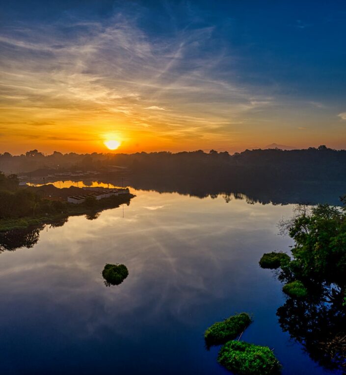 green trees near body of water during sunset
